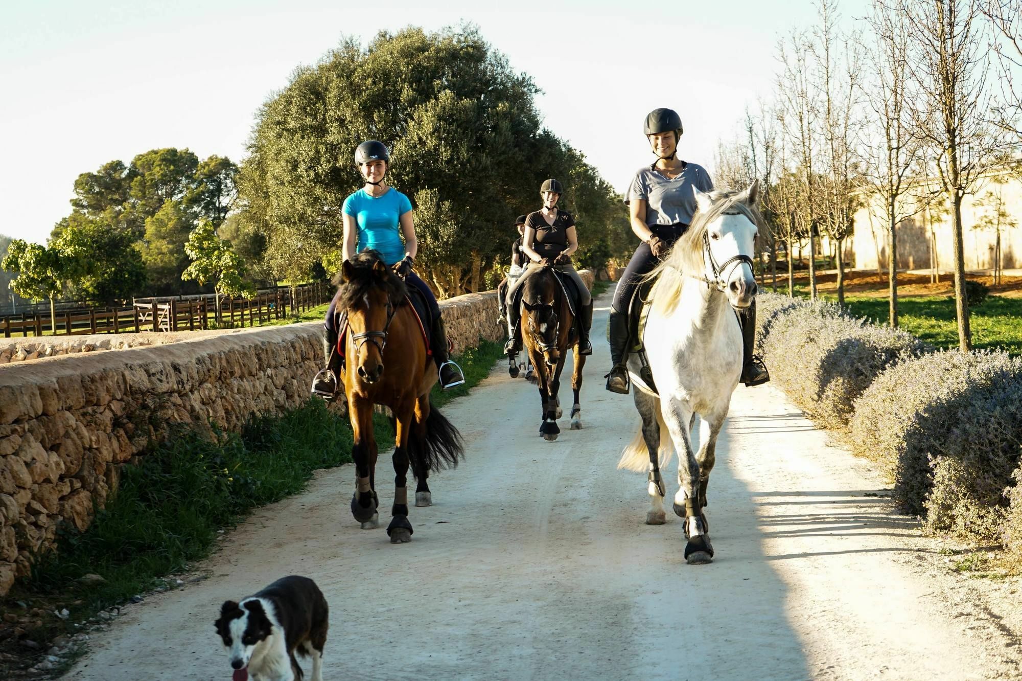 Villa Vmg Horse Ranch (Adults Only) Llucmajor  Exterior foto