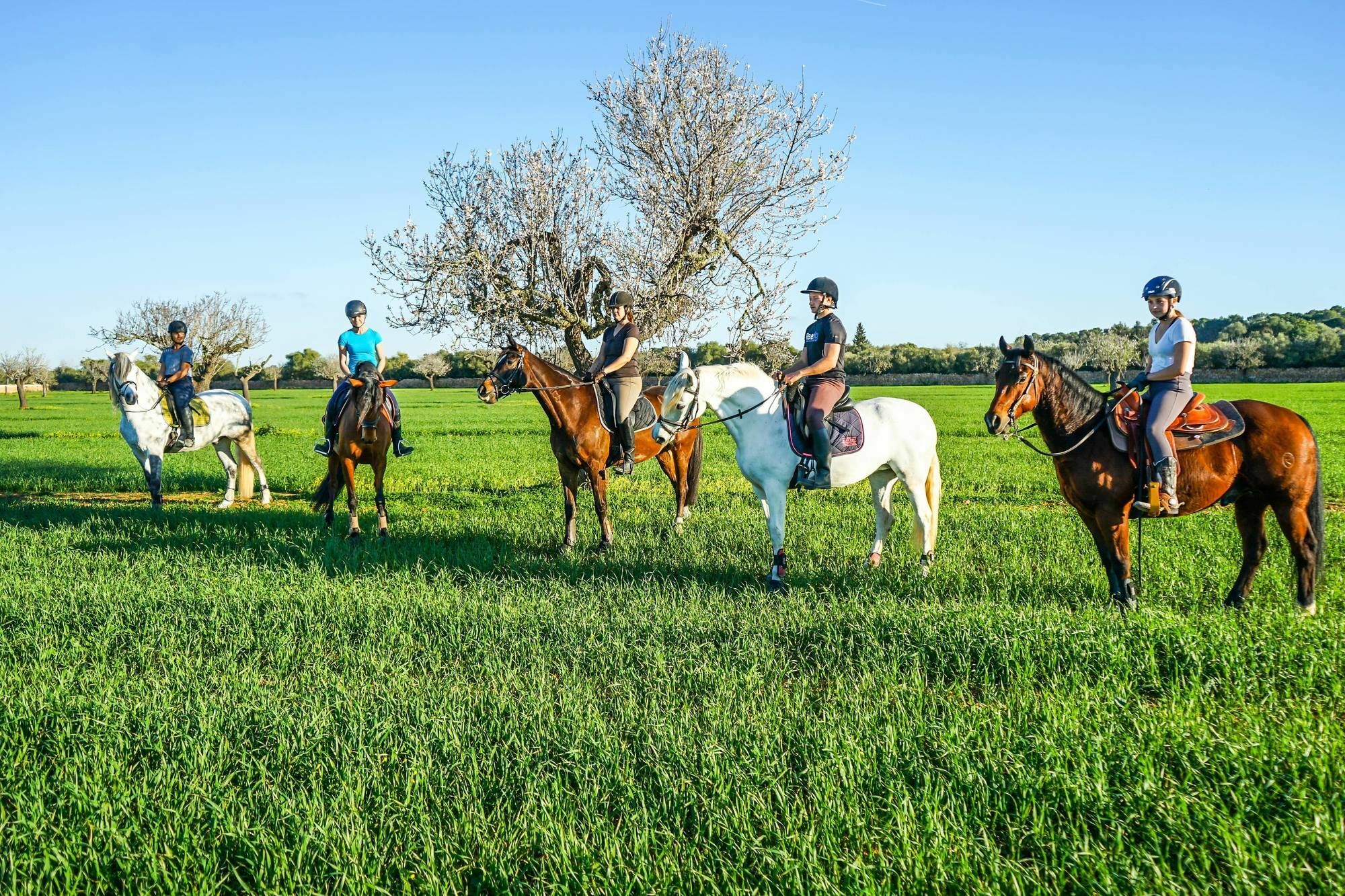 Villa Vmg Horse Ranch (Adults Only) Llucmajor  Exterior foto